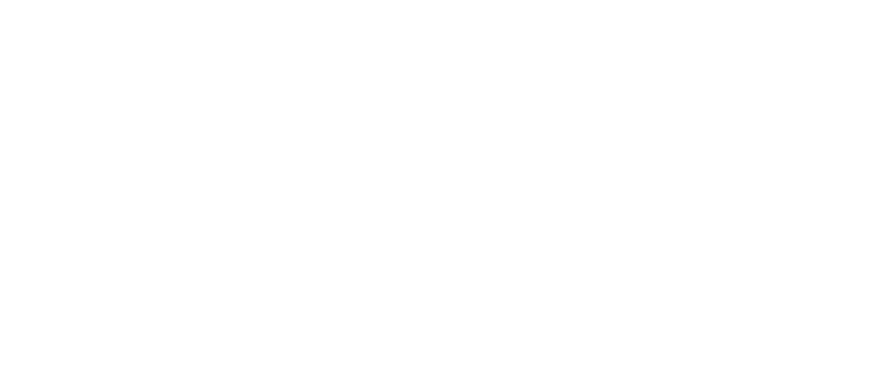 Logo Stromnetz Berlin
